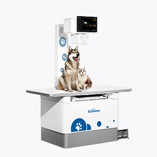 Rayos X veterinarios